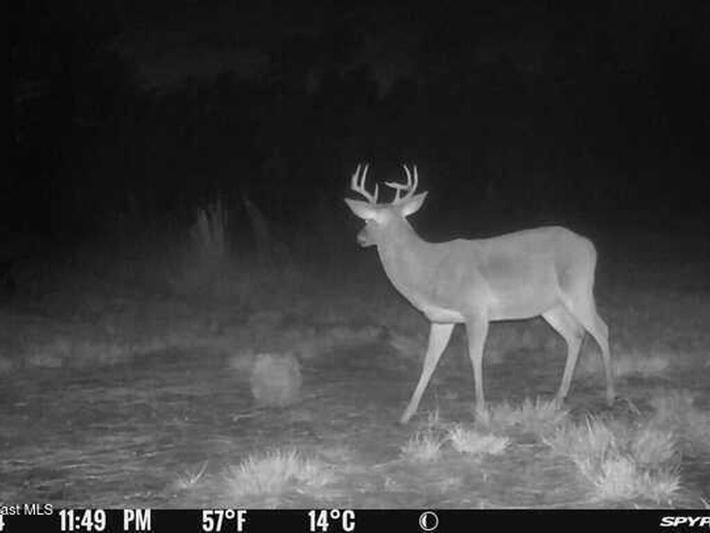 0000 Unknown, Mims, FL 32754