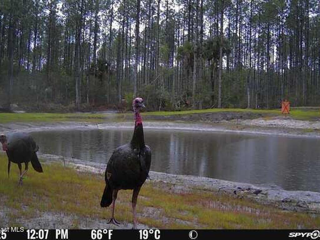 0000 Unknown, Mims, FL 32754