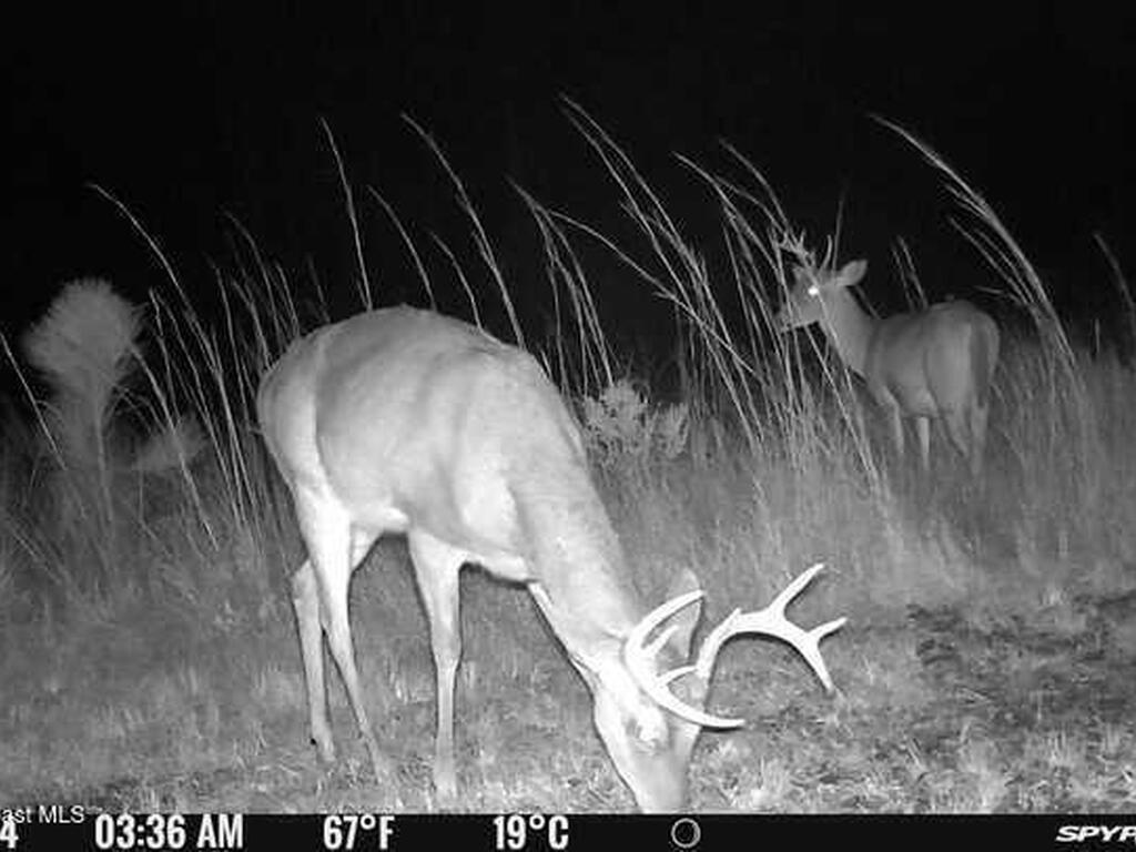 0000 Unknown, Mims, FL 32754