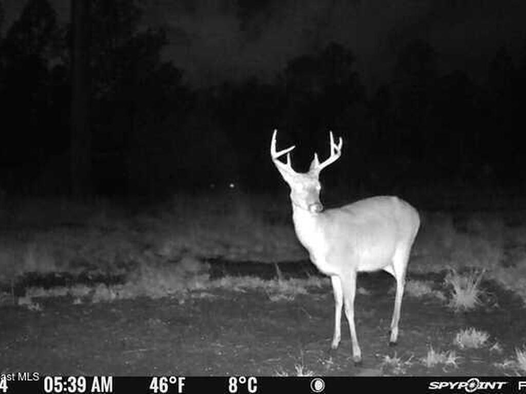 0000 Unknown, Mims, FL 32754