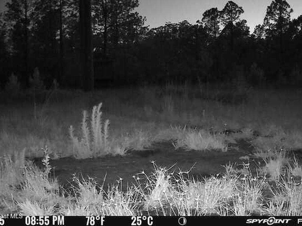 0000 Unknown, Mims, FL 32754