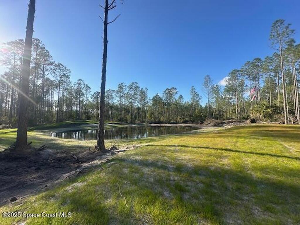 0000 Unknown, Mims, FL 32754