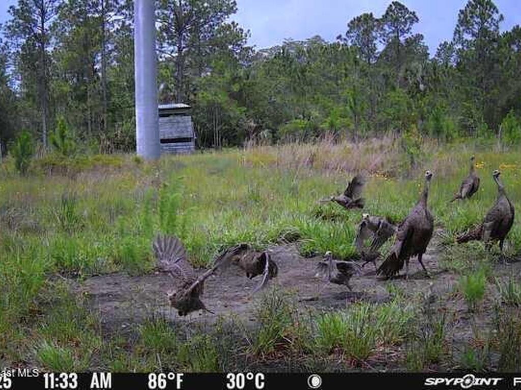 0000 Unknown, Mims, FL 32754