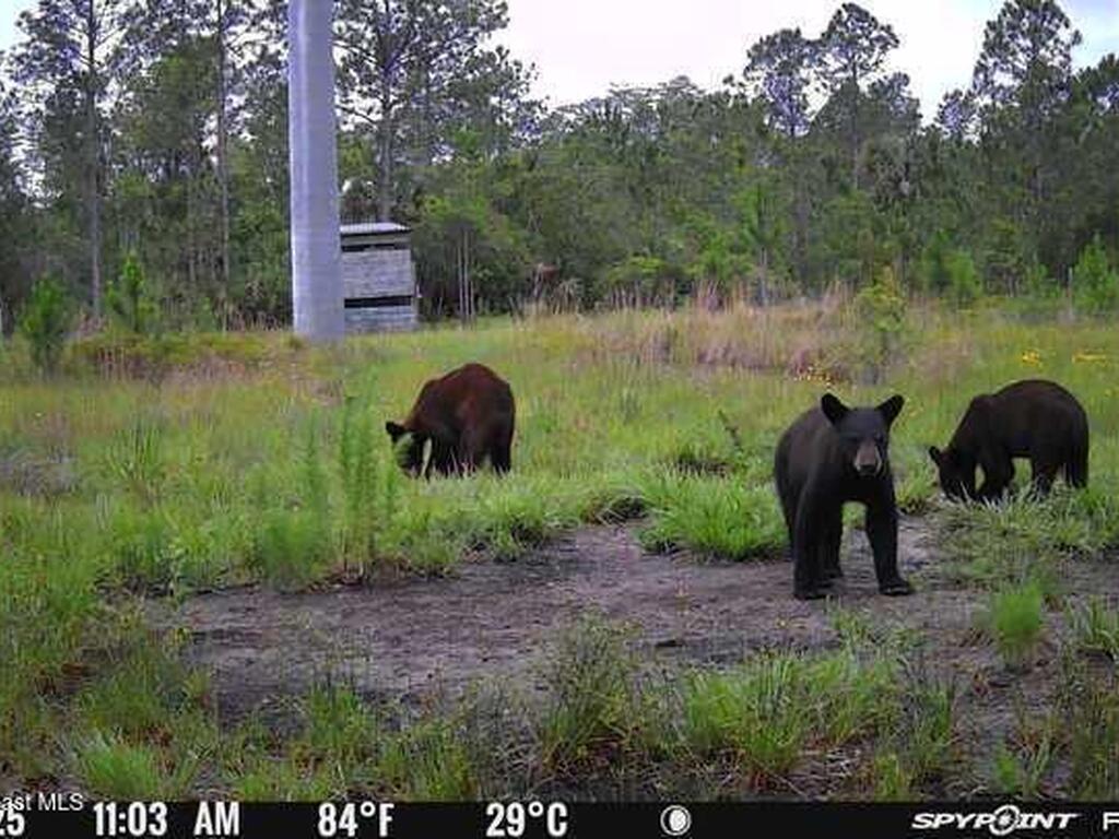 0000 Unknown, Mims, FL 32754