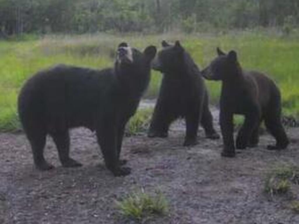 0000 Unknown, Mims, FL 32754