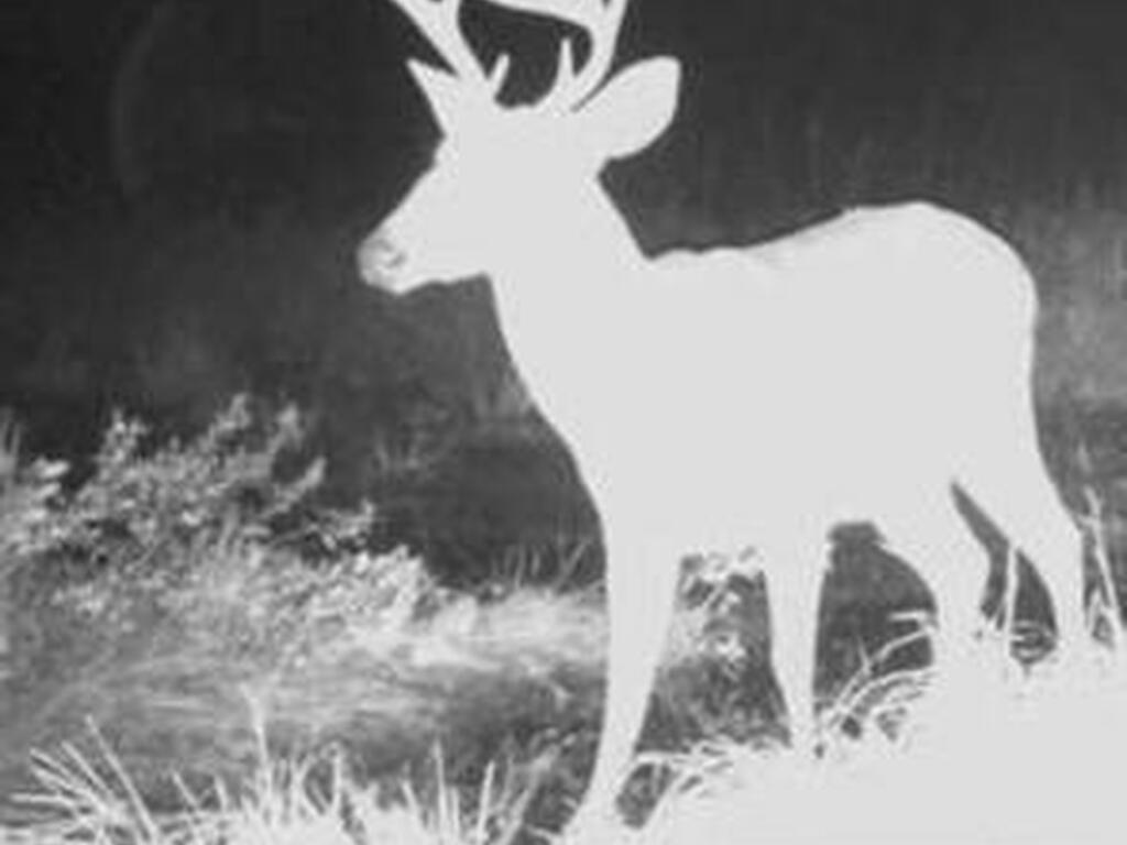 0000 Unknown, Mims, FL 32754