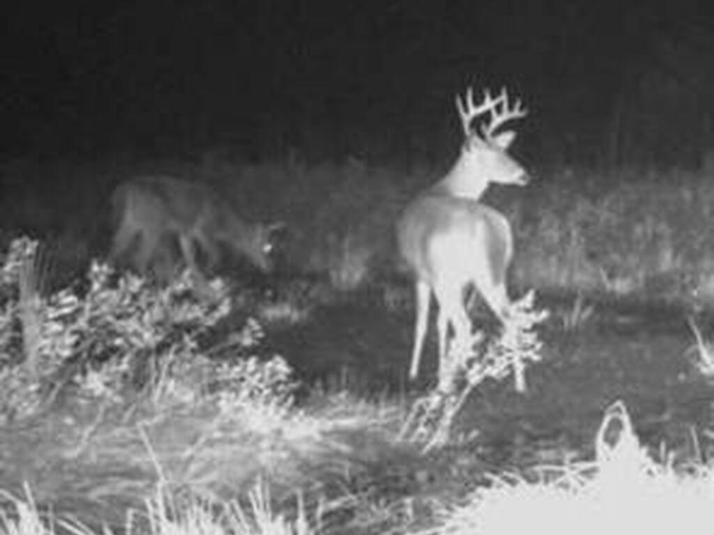 0000 Unknown, Mims, FL 32754