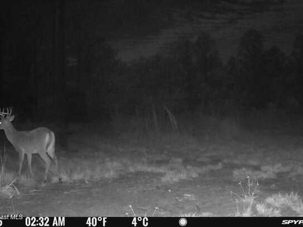 0000 Unknown, Mims, FL 32754