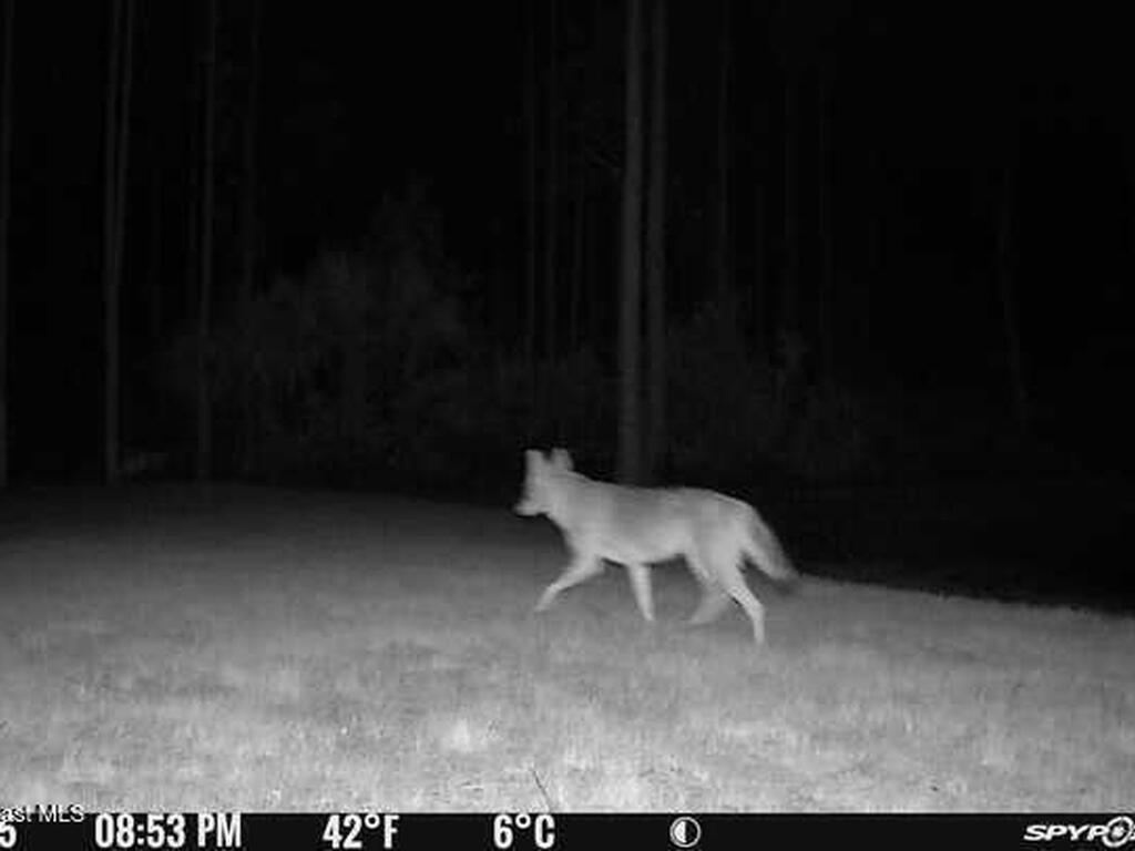 0000 Unknown, Mims, FL 32754