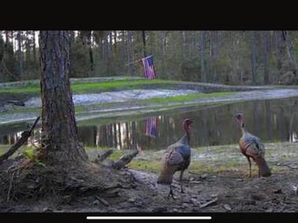 0000 Unknown, Mims, FL 32754