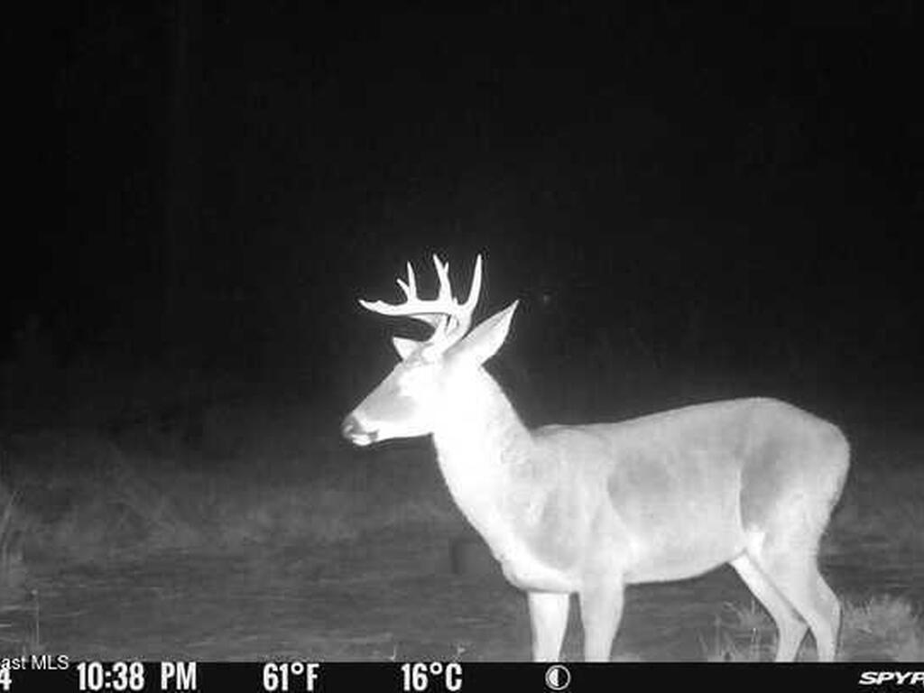 0000 Unknown, Mims, FL 32754