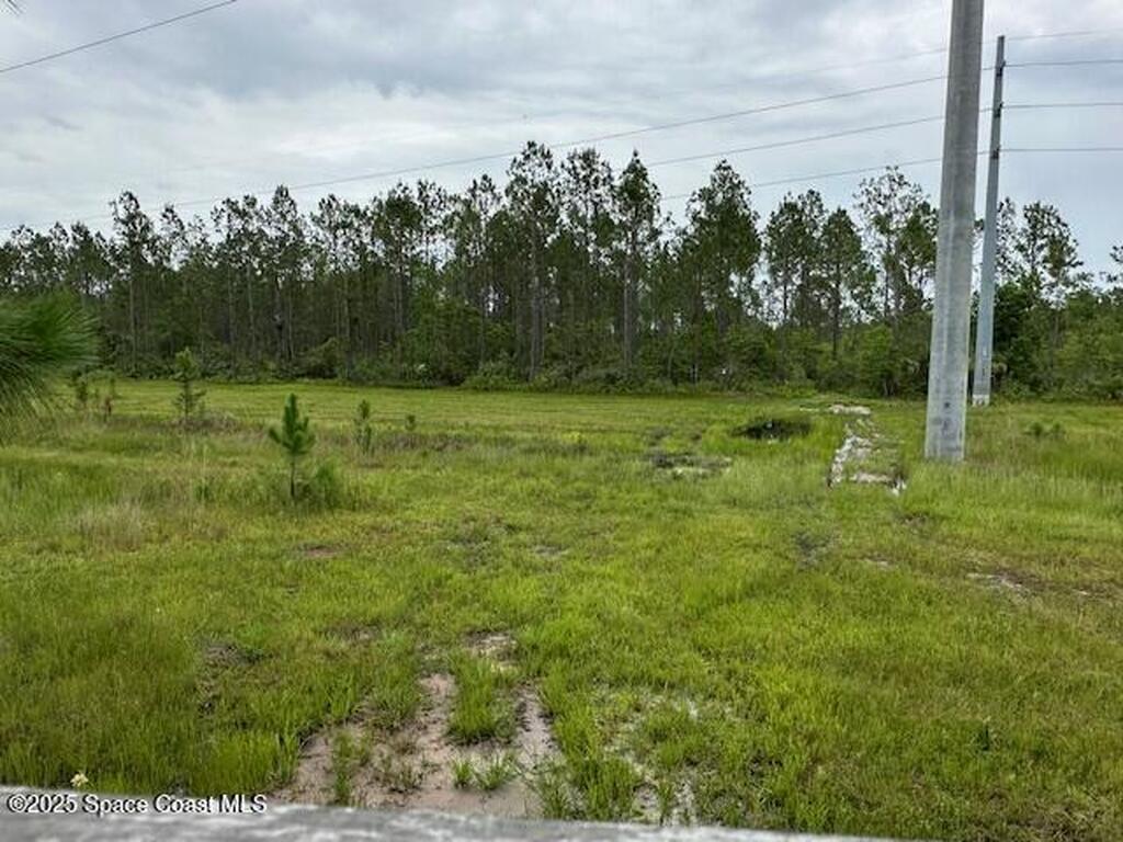 0000 Unknown, Mims, FL 32754