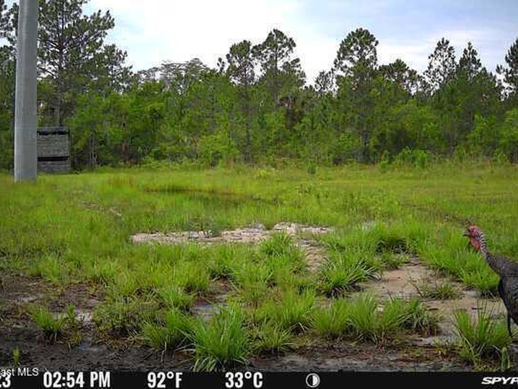 0000 Unknown, Mims, FL 32754