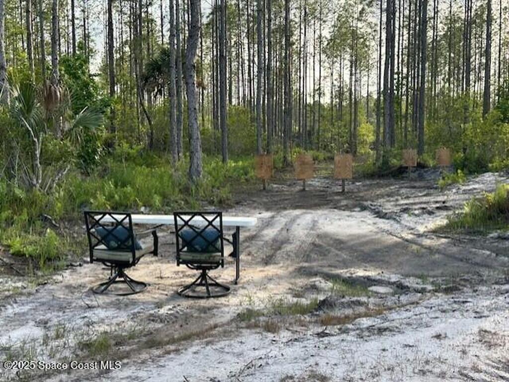 0000 Unknown, Mims, FL 32754