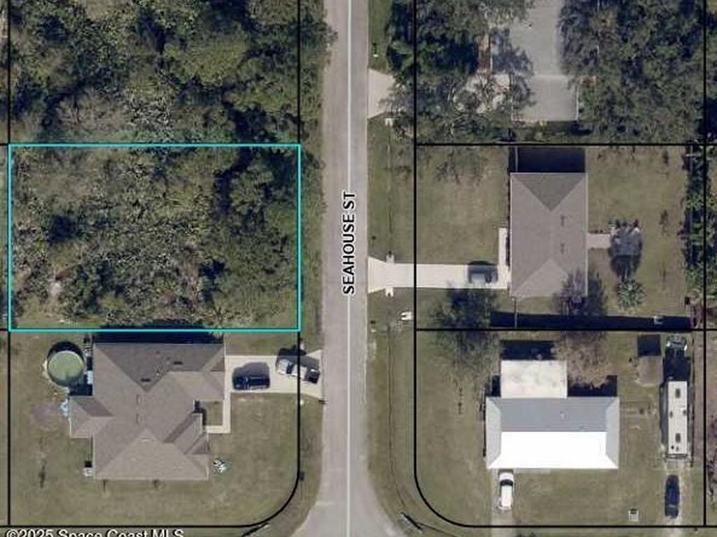 1381 Seahouse Street, Sebastian, FL 32958