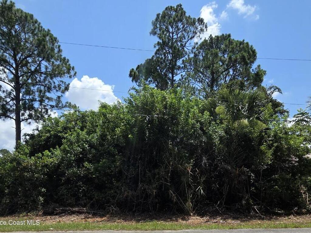 Tejon Avenue, Palm Bay, FL 32908