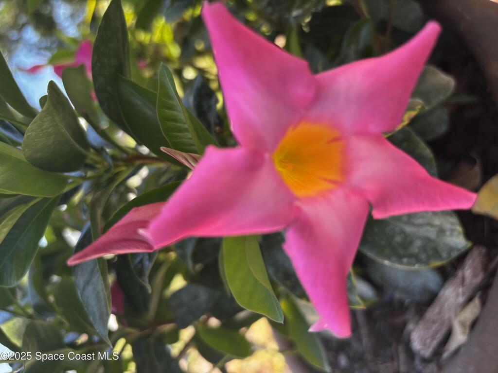 1322 Earl Drive, Merritt Island, FL 32952