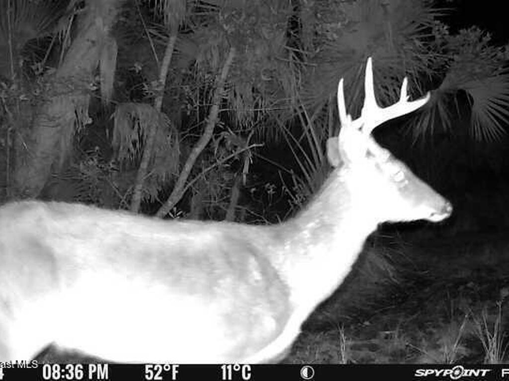 0000 D Johnson, Mims, FL 32754