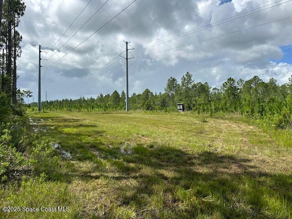 0000 D Johnson, Mims, FL 32754
