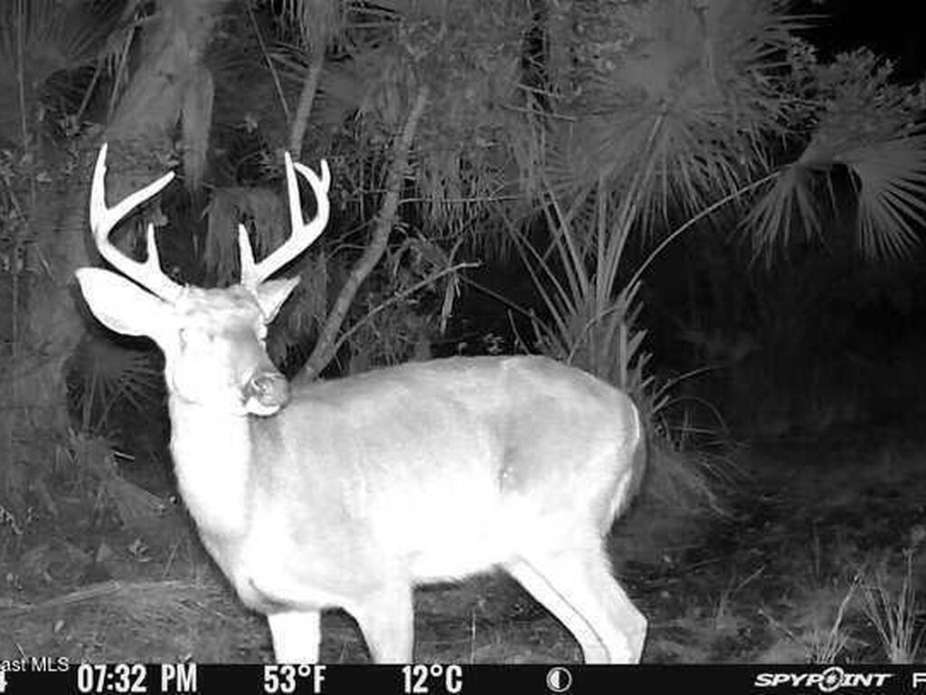 0000 D Johnson, Mims, FL 32754
