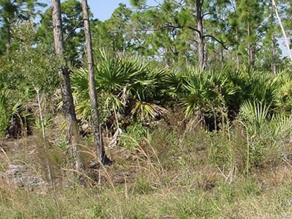 0000 Unknown, Malabar, FL 32950