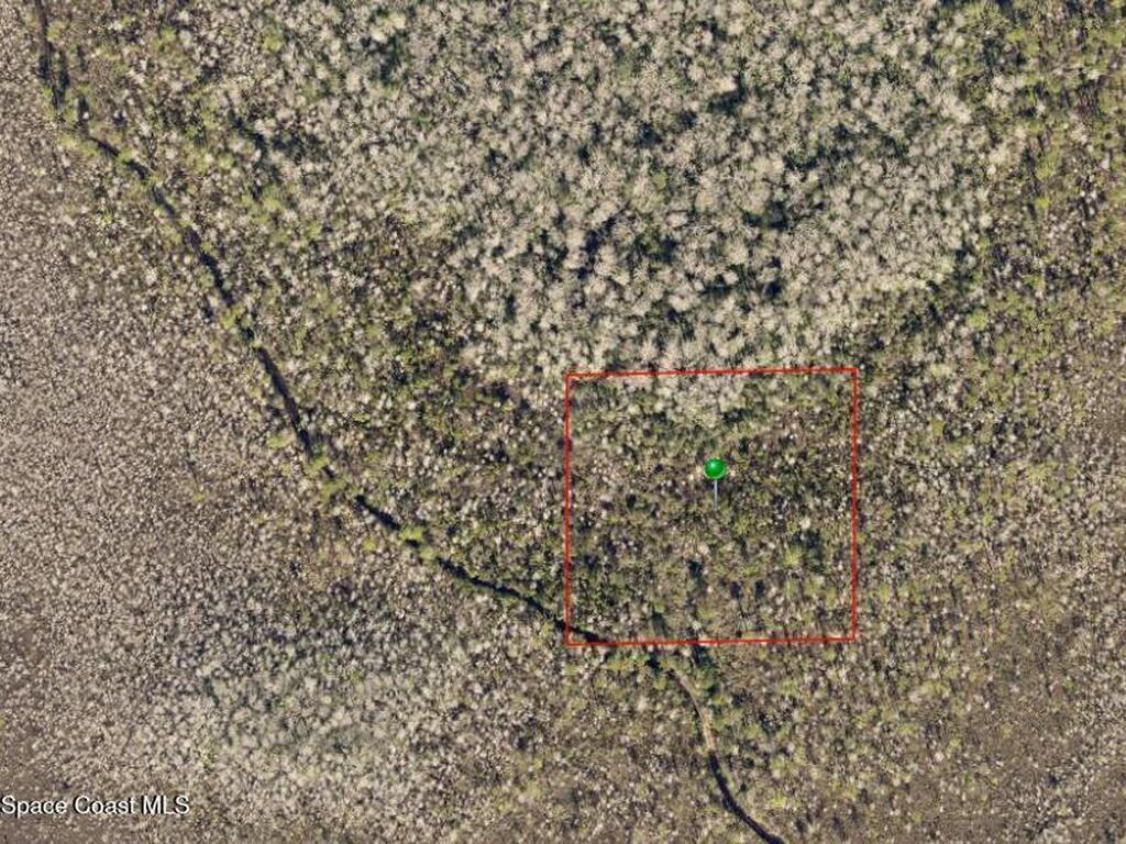 X No Street, DeLand, FL 32724