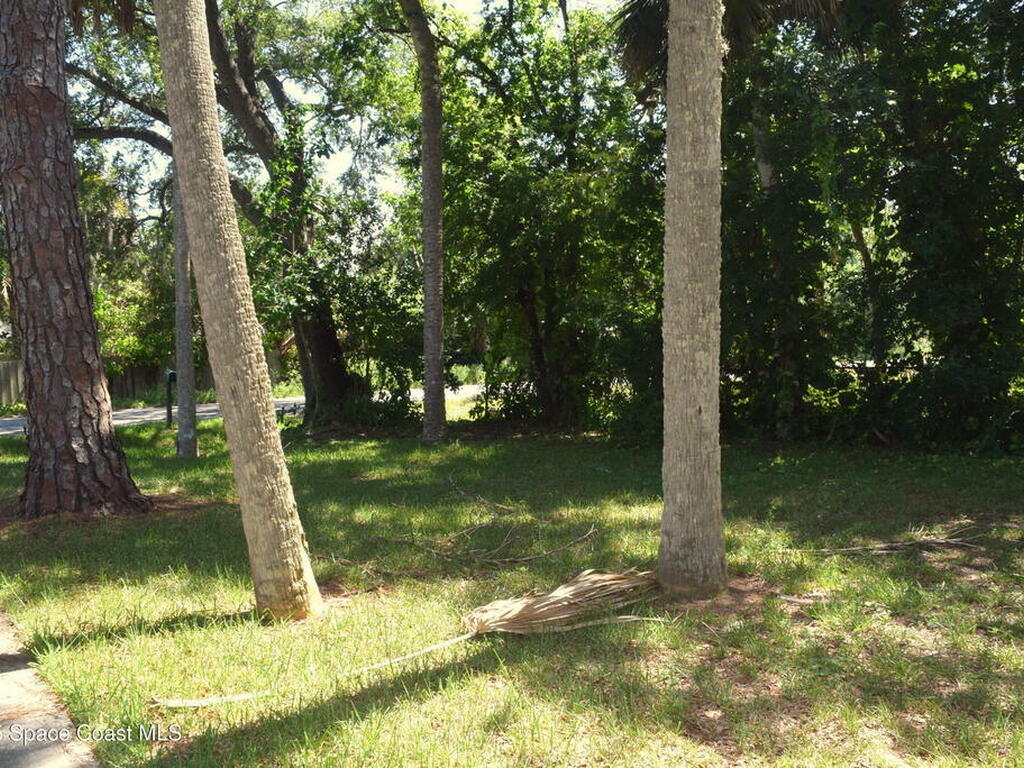 2508 Palmetto Drive, Cocoa, FL 32926