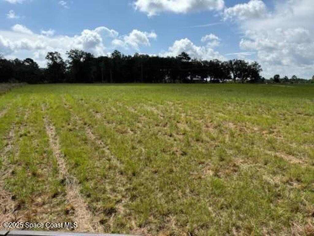 Walker Road, Bonifay, FL 32425