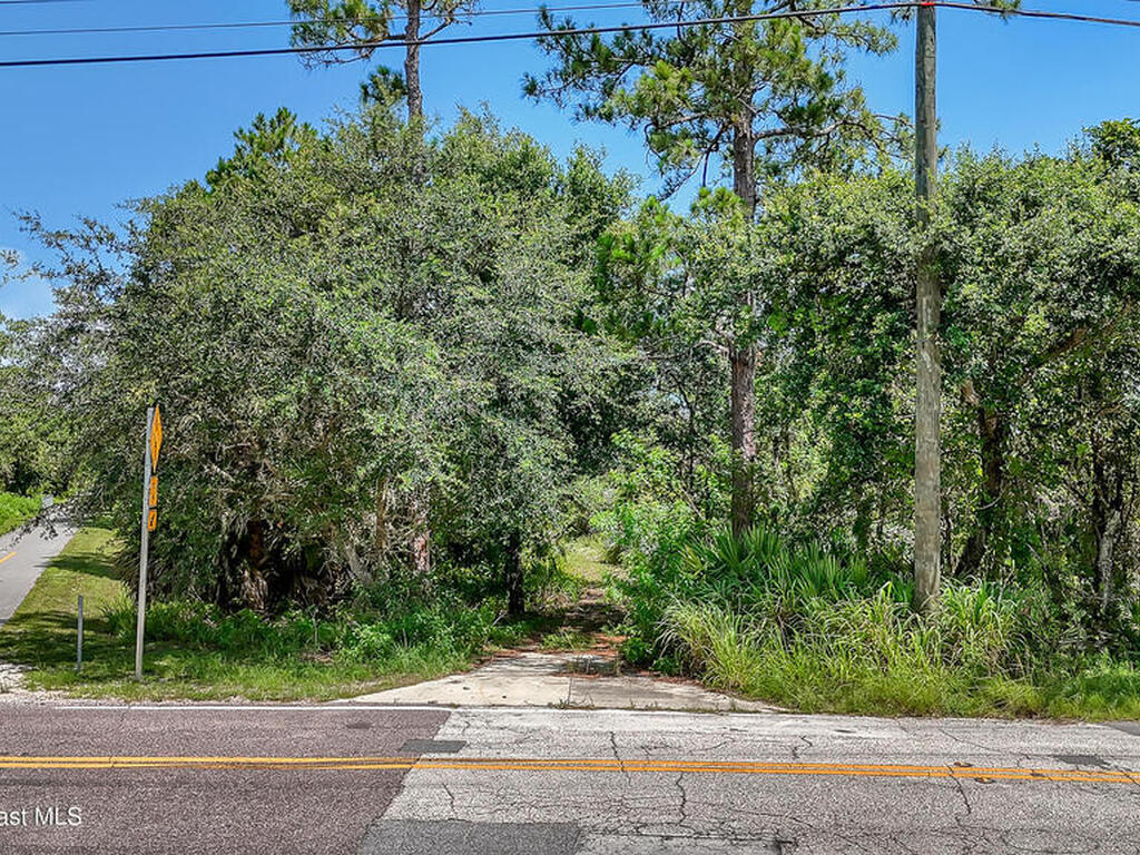4300 Burkholm Road, Mims, FL 32754