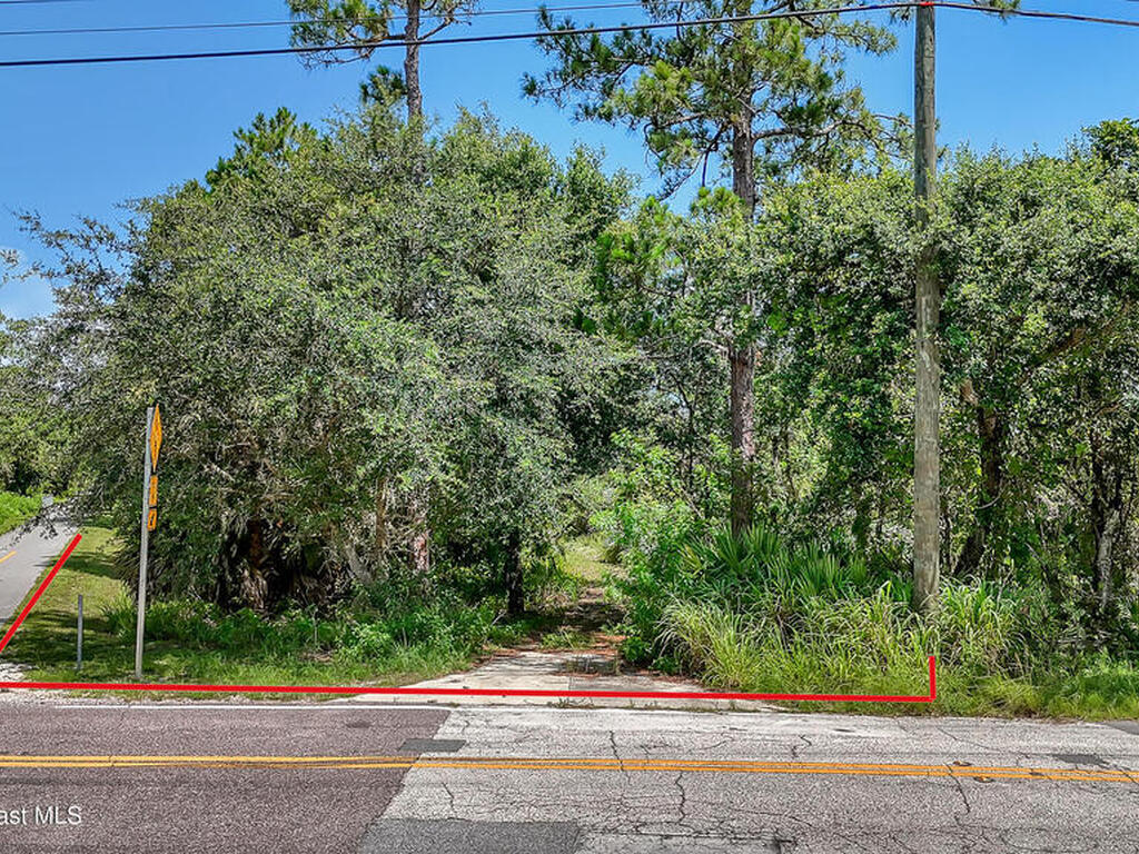4300 Burkholm Road, Mims, FL 32754