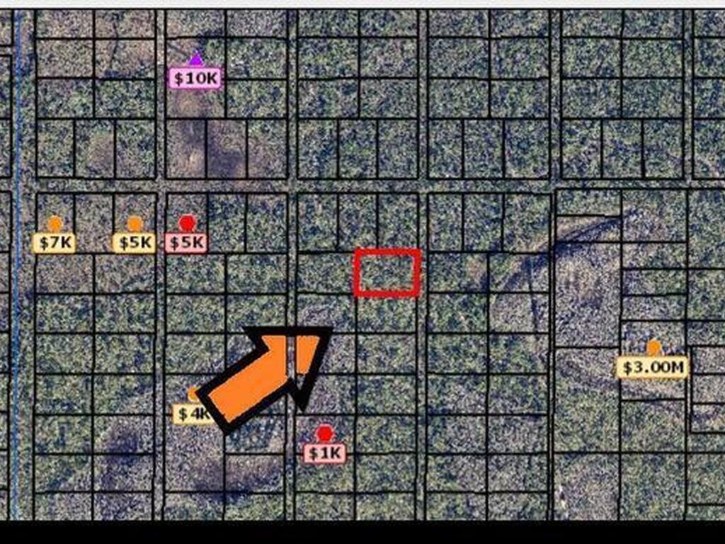 None Unknown, Grant, FL 32949