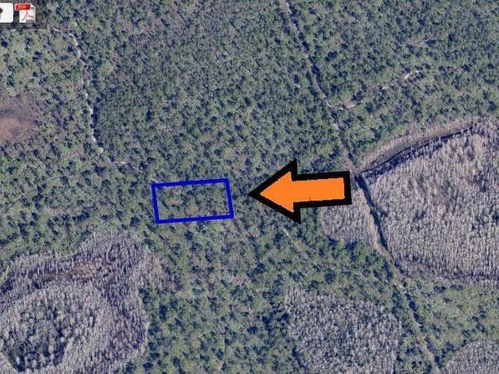 None Unknown, Grant, FL 32949