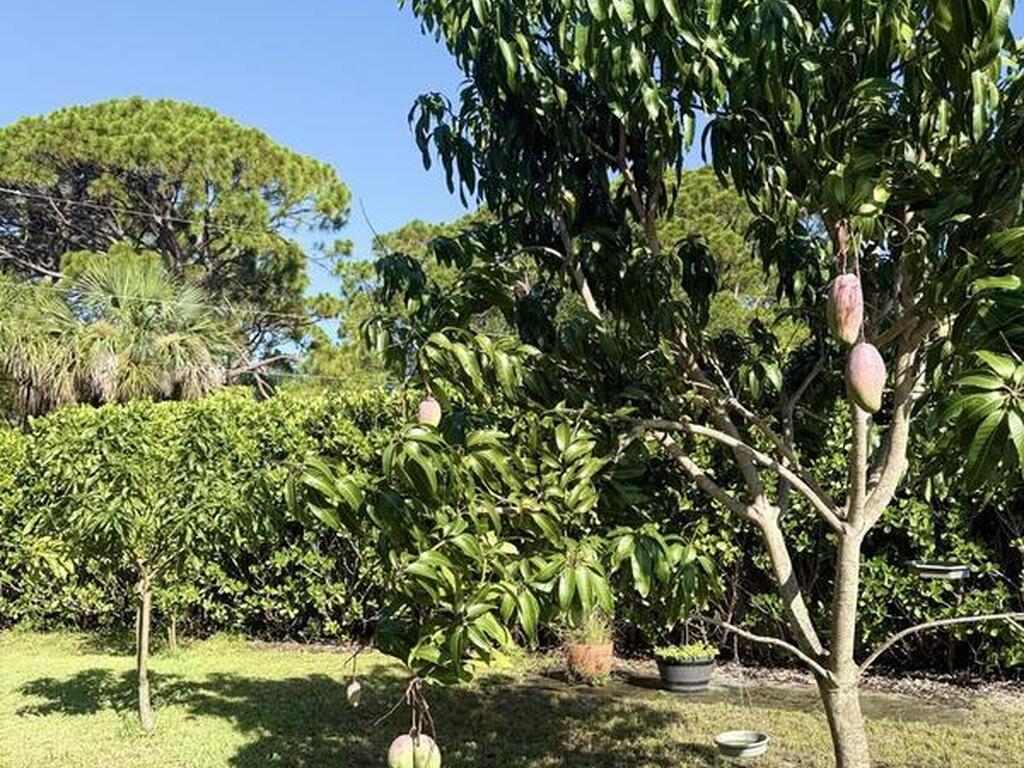 1425 Lester Court, Merritt Island, FL 32952