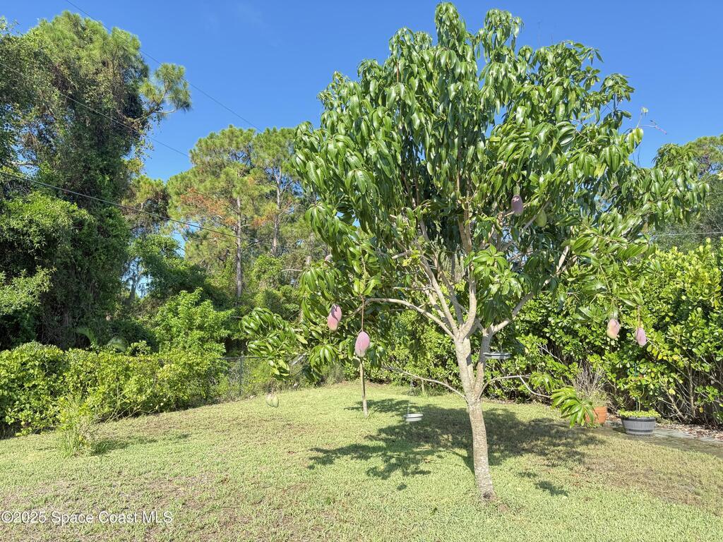 1425 Lester Court, Merritt Island, FL 32952