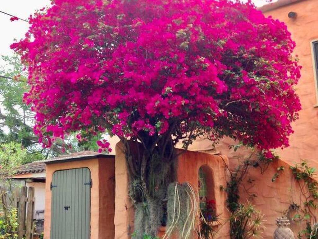 26 Orange Avenue, Rockledge, FL 32955