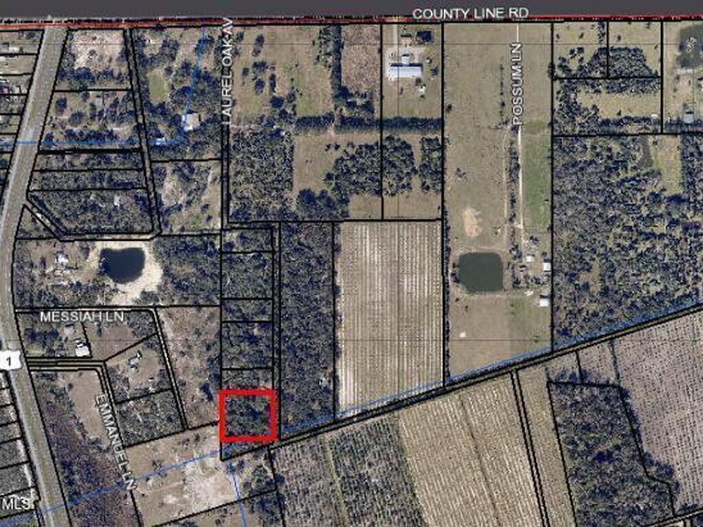 0000 Laurel Oak Avenue, Mims, FL 32754