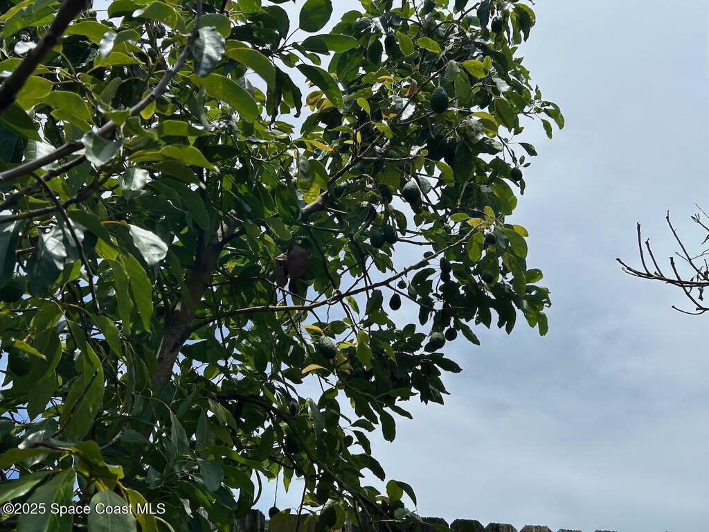 101 S Singleton Avenue, Titusville, FL 32796