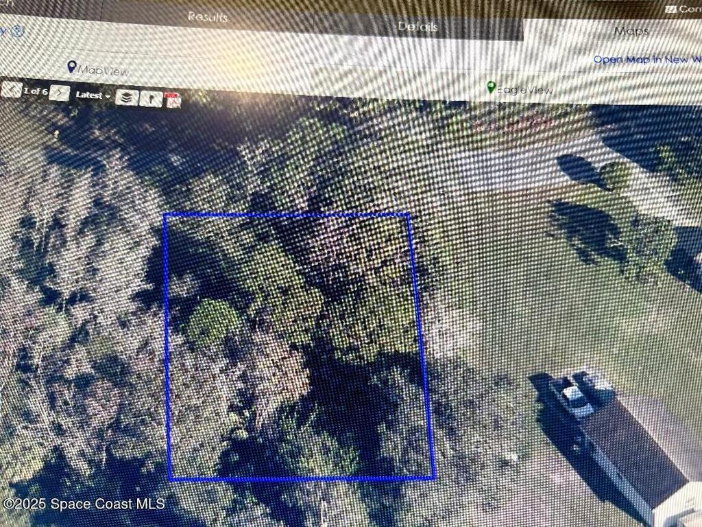 906 Cotorro Road, Palm Bay, FL 32909