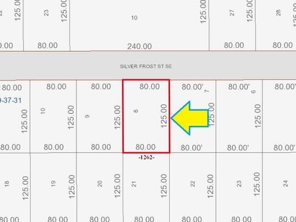 170 Silver Frost Street, Palm Bay, FL 32909