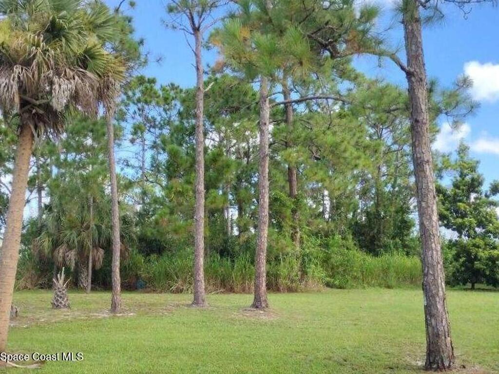 2100 Santa Maria Avenue, Palm Bay, FL 32909