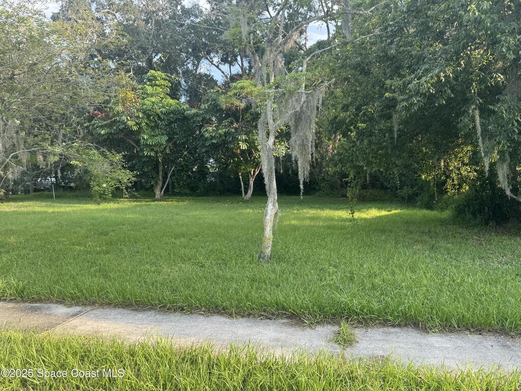 1115 Jones Street, Titusville, FL 32796