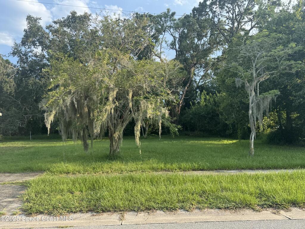 1115 Jones Street, Titusville, FL 32796