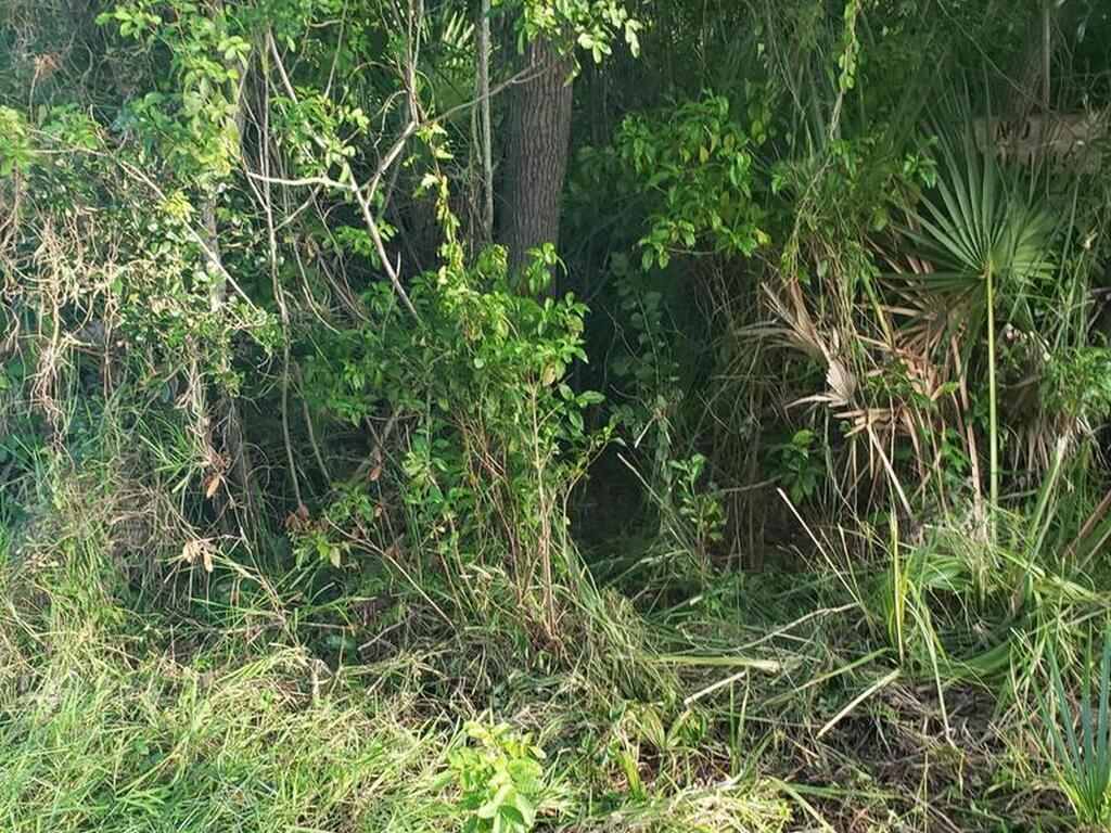 1462 Newfound Harbor Drive, Merritt Island, FL 32952