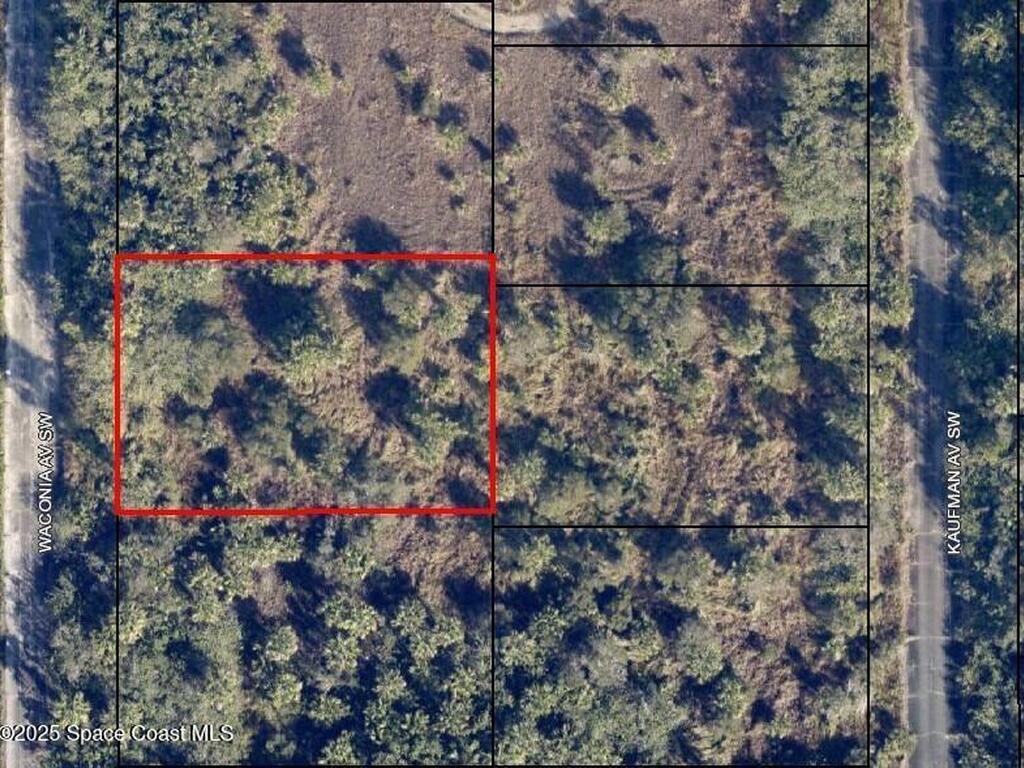 1935 Waconia Avenue, Palm Bay, FL 32908