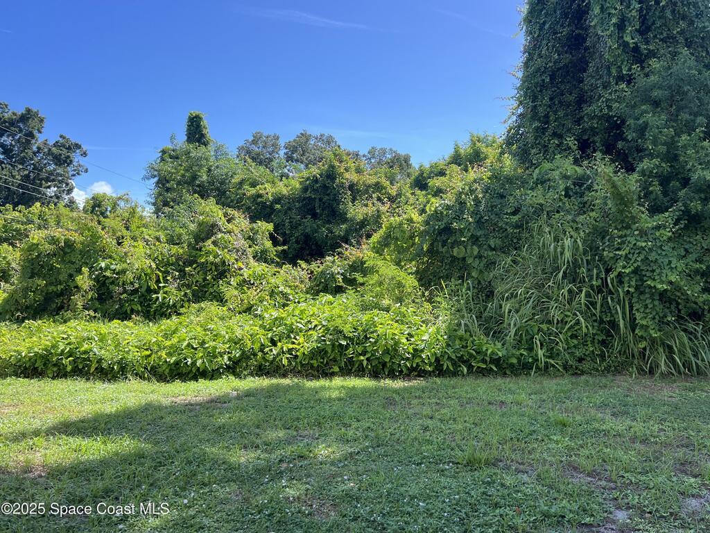 1244 Lynne Drive, Merritt Island, FL 32952