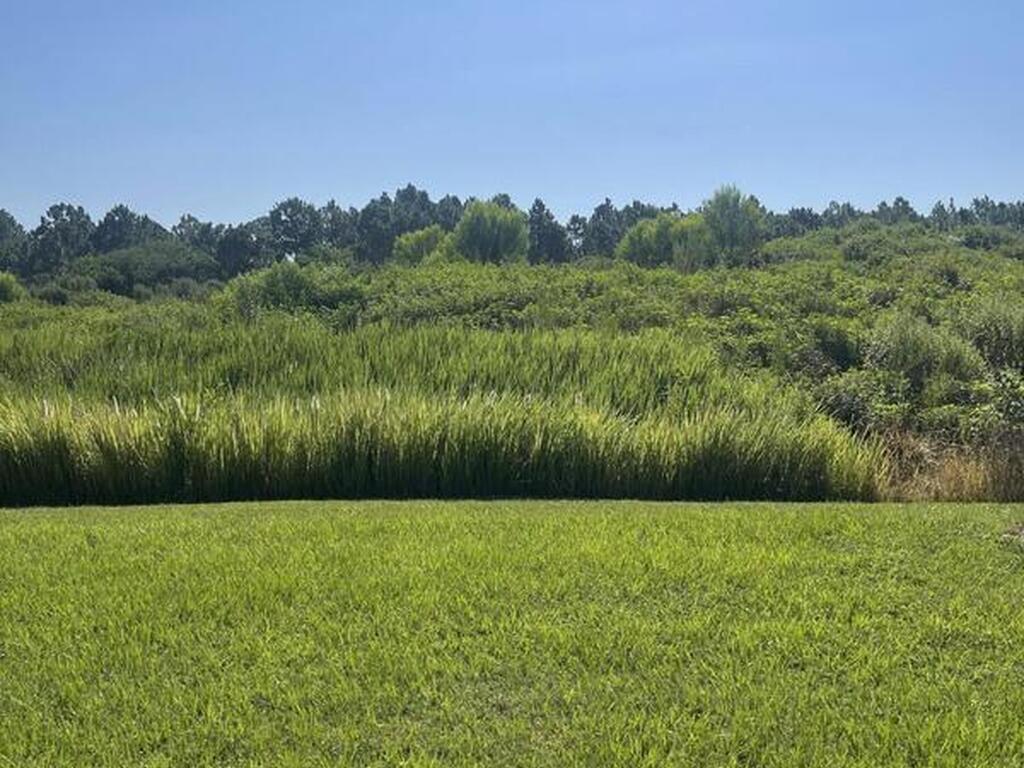 939 Remington Green Drive, Palm Bay, FL 32909