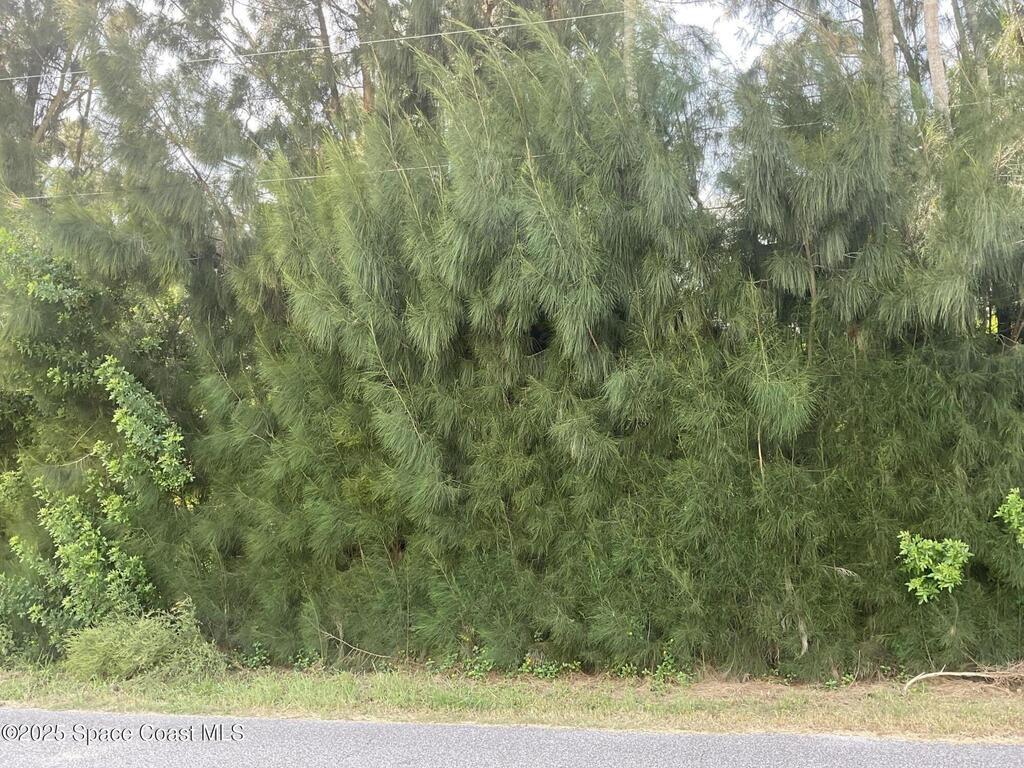 000 Arabella Lane Lane, Cocoa, FL 32927