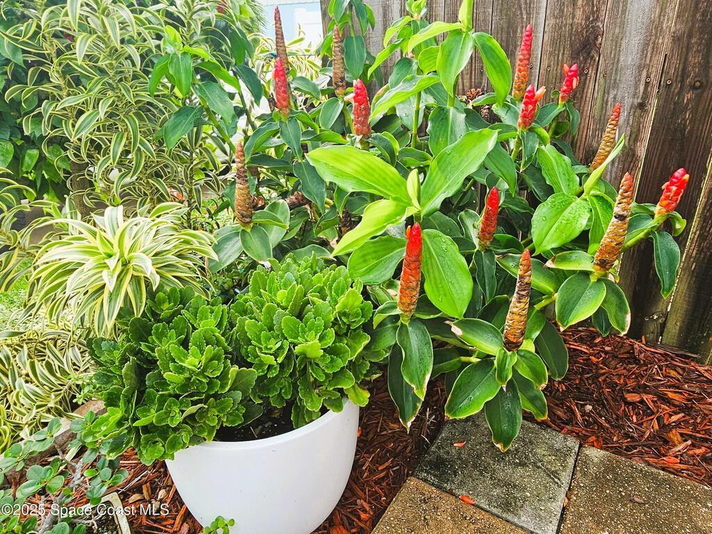 419 Madison Avenue, Cape Canaveral, FL 32920