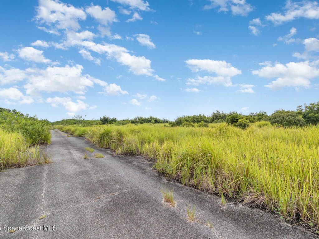 2563 Deviltree Avenue, Palm Bay, FL 32908