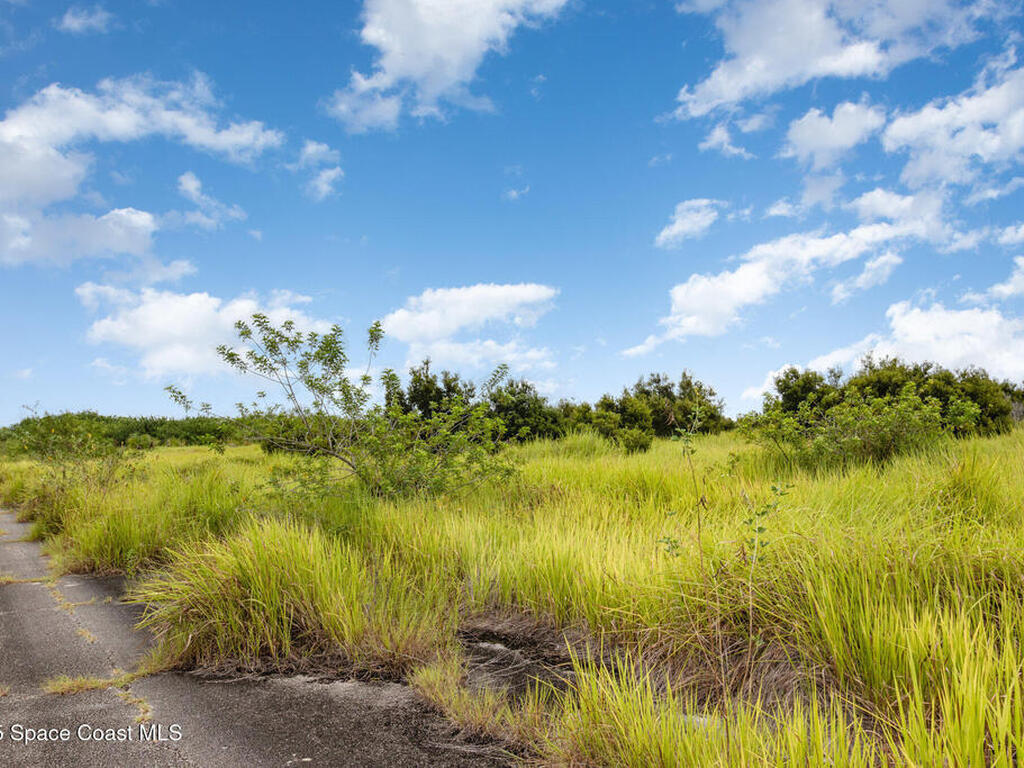 2563 Deviltree Avenue, Palm Bay, FL 32908